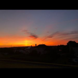 Meet your Posher, Maddie